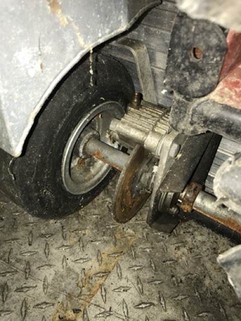 IMG_0388 Medium.jpeg